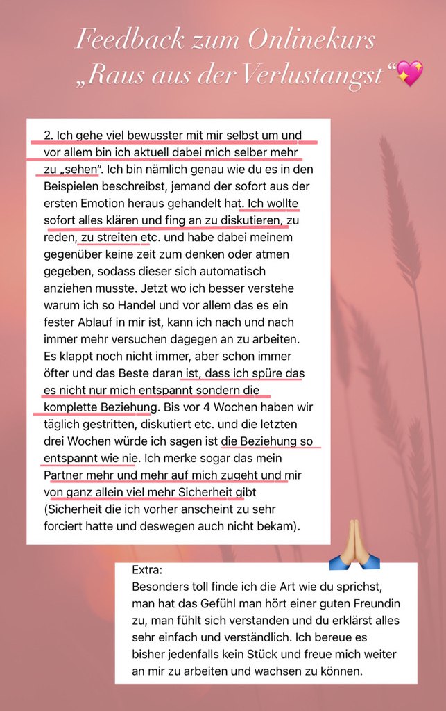 Feedback zum Onlinekurs: Bis vor vier Wochen haben wir täglich gestritten — jetzt ist die Beziehung so entspannt wie nie